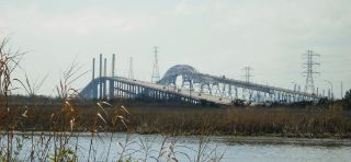 Mold Inspection Bridge City Texas